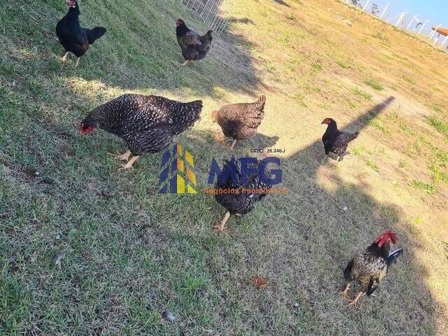 Chácara para Venda em Araçoiaba da Serra - 2