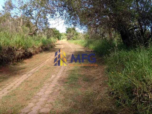 #12737 - Sítio para Venda em Jarinu - SP - 3