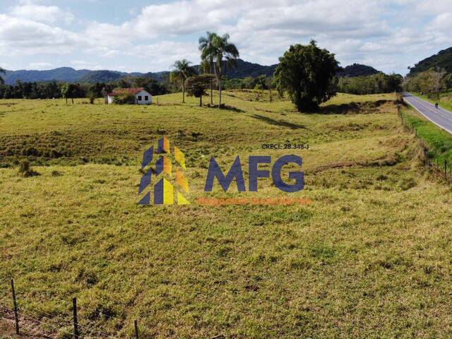 Fazenda para Venda em Eldorado - 5