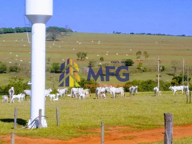#12774 - Fazenda para Venda em Duartina - SP - 2