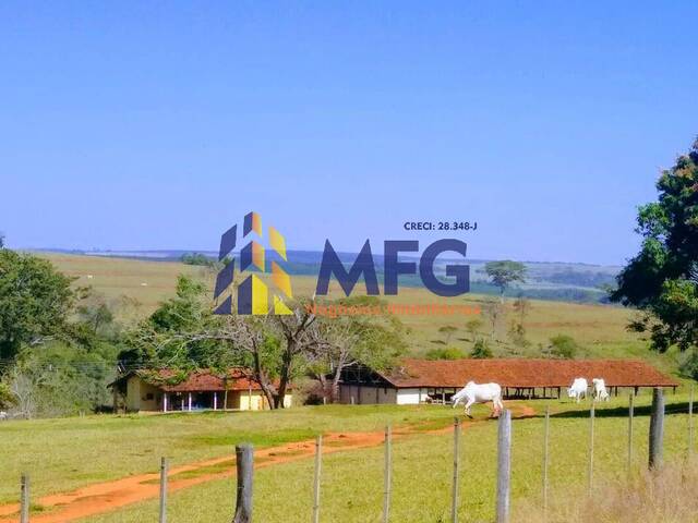 Fazenda para Venda em Duartina - 4