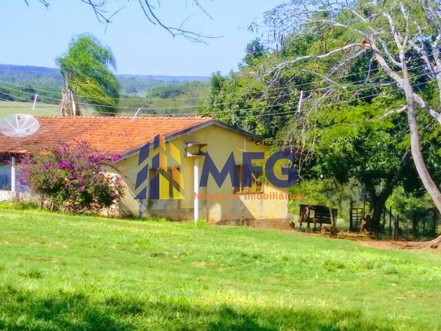 #12774 - Fazenda para Venda em Duartina - SP - 3