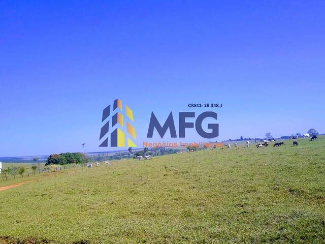 Fazenda para Venda em Duartina - 5