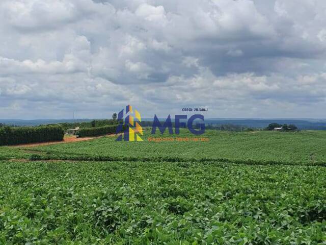 #8647 - Fazenda para Venda em Paulistânia - SP - 2