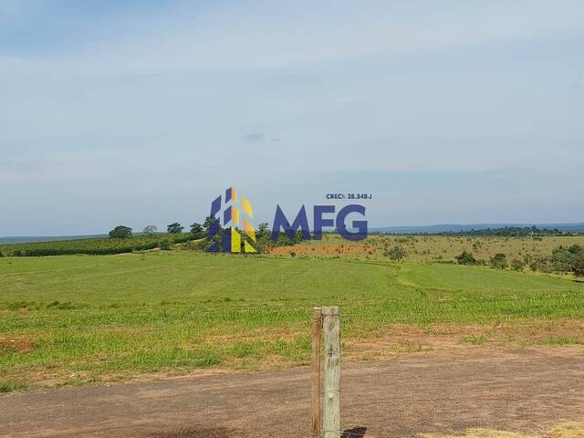 #8647 - Fazenda para Venda em Paulistânia - SP - 3