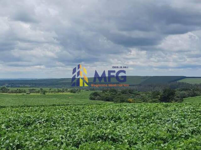 Fazenda para Venda em Paulistânia - 4