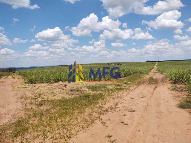 Fazenda para Venda em Paulistânia - 2