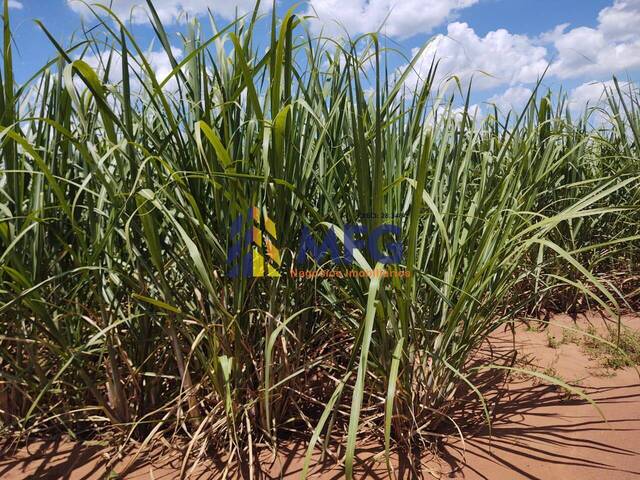 Fazenda para Venda em Paulistânia - 3