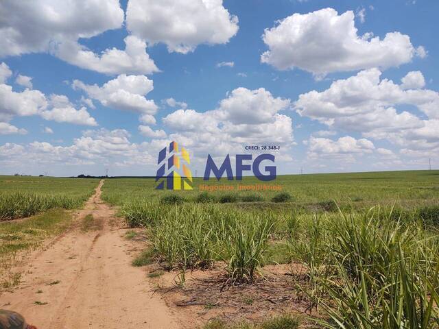 Fazenda para Venda em Paulistânia - 5