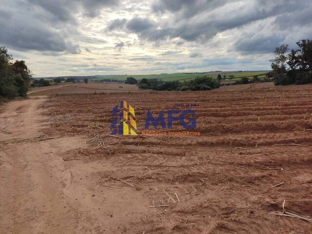 #12796 - Fazenda para Venda em Tietê - SP - 3