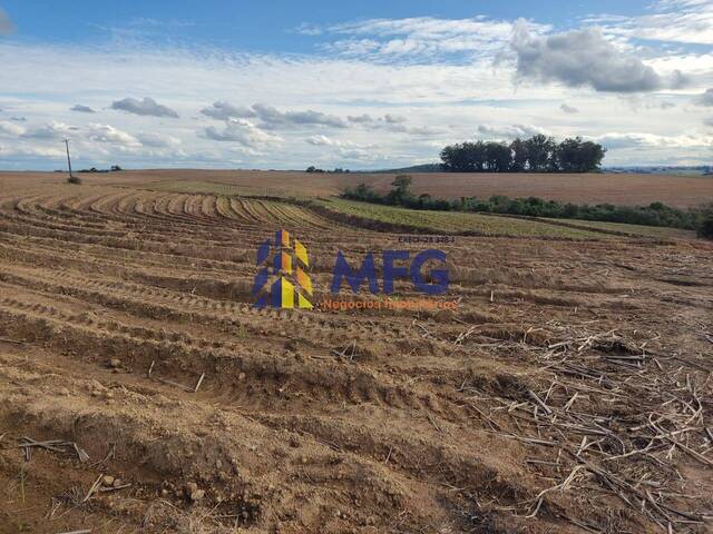 Fazenda para Venda em Tietê - 4