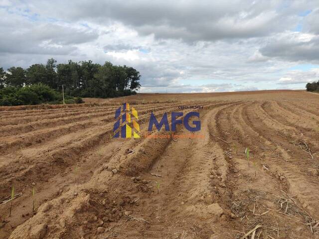 Fazenda para Venda em Tietê - 5