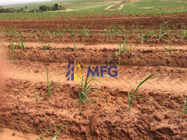 Fazenda para Venda em Piracicaba - 1