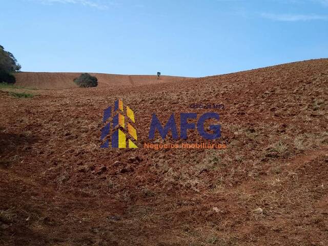 Chácara para Venda em Rio Branco - 2