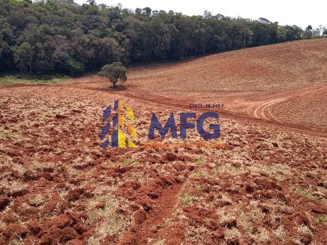 Chácara para Venda em Rio Branco - 3