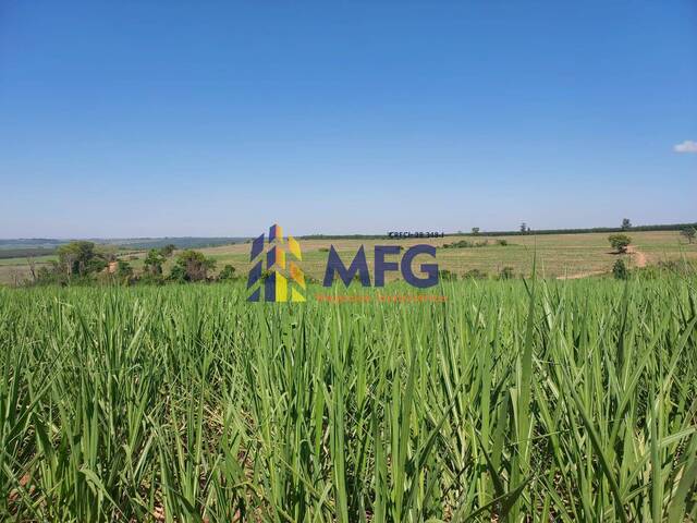 Fazenda para Venda em Brumadinho - 2