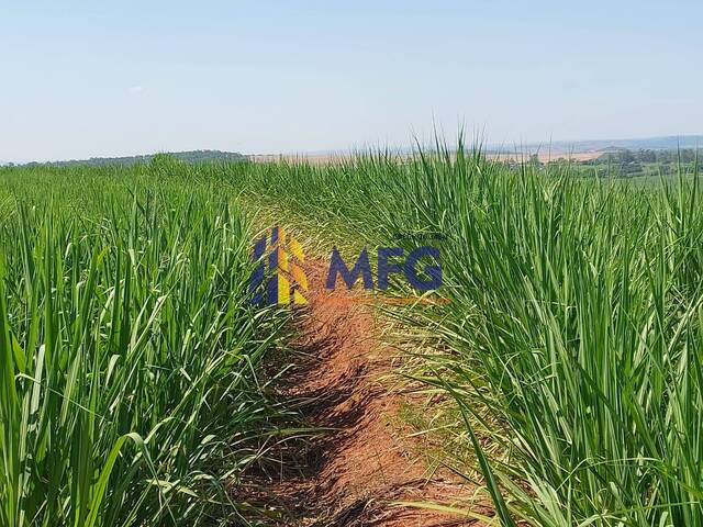 Fazenda para Venda em Brumadinho - 3