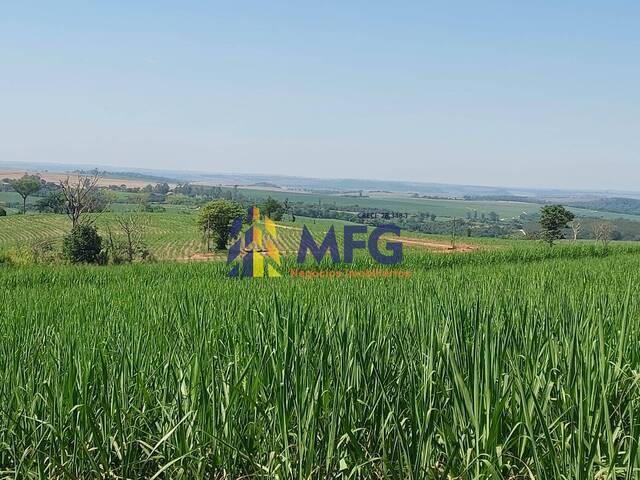 Fazenda para Venda em Brumadinho - 4