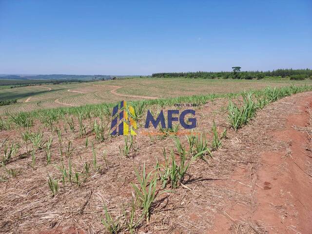 Fazenda para Venda em Brumadinho - 5