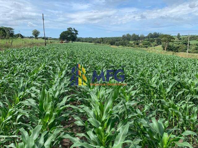 #12891 - Fazenda para Venda em Cajuru - SP - 3