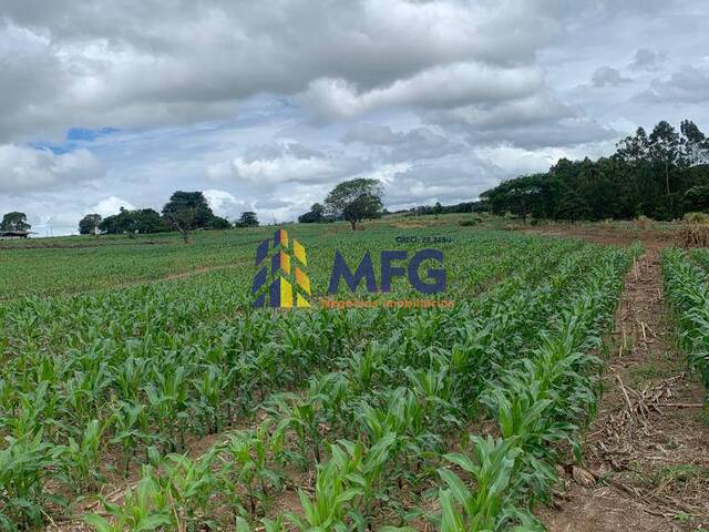 Fazenda para Venda em Cajuru - 5