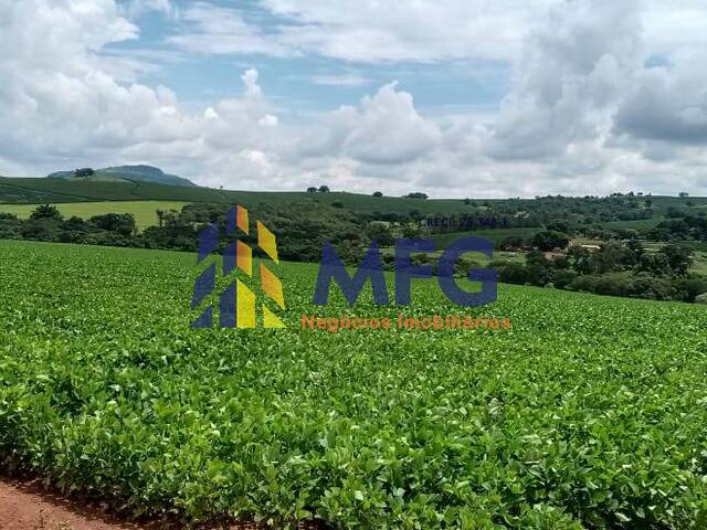 Fazenda para Venda em Itamogi - 5