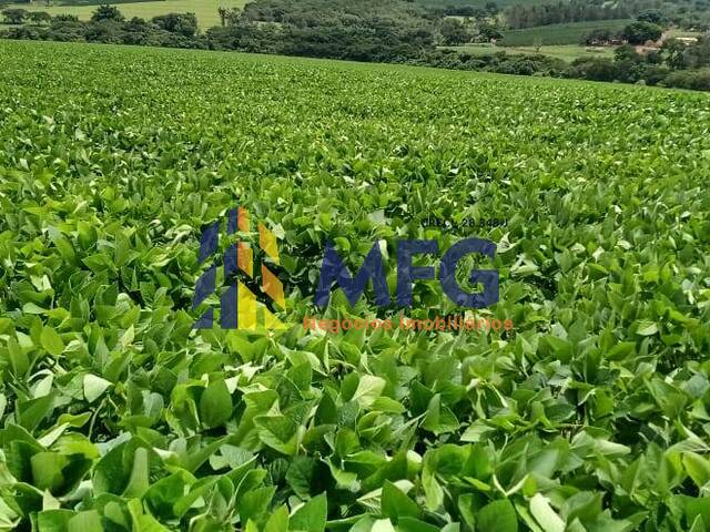 Fazenda para Venda em Itamogi - 3