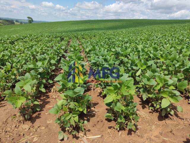#12930 - Fazenda para Venda em Capão Bonito - SP - 2