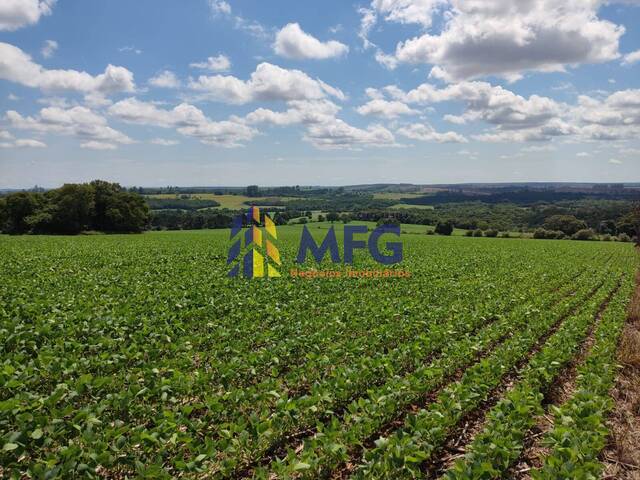 #12930 - Fazenda para Venda em Capão Bonito - SP - 3