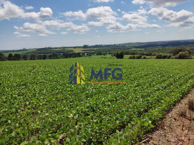 Fazenda para Venda em Capão Bonito - 5