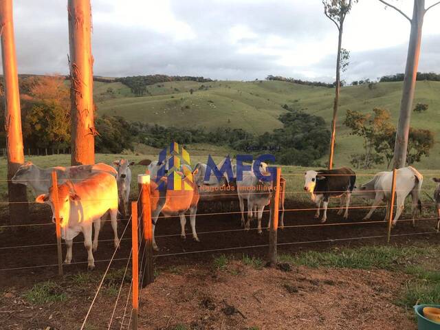 Sítio para Venda em Capão Bonito - 4
