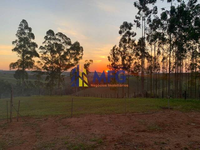 Sítio para Venda em Capão Bonito - 5