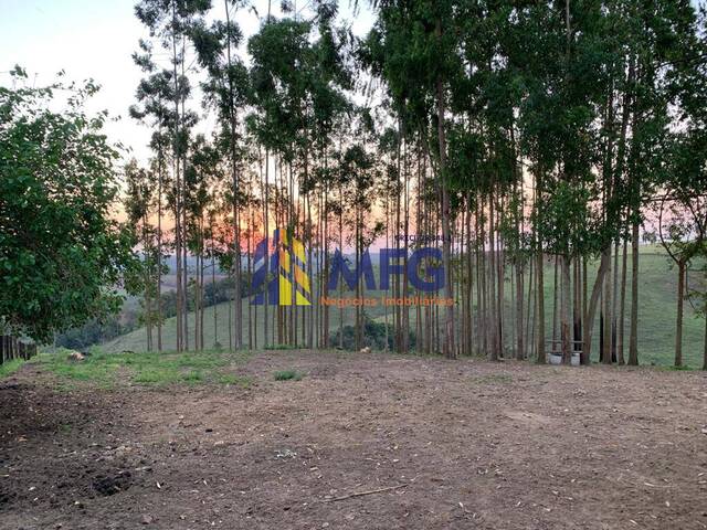 #13019 - Sítio para Venda em Capão Bonito - SP - 1