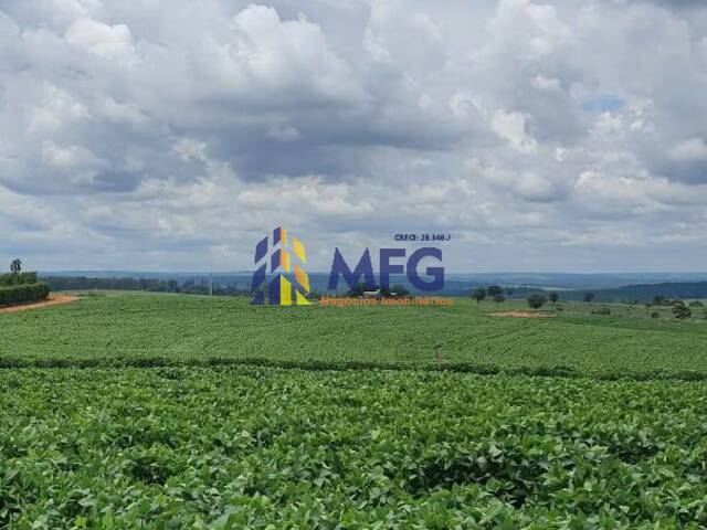 Venda em Área Rural de Paulistânia - Paulistânia