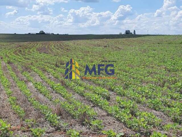 #13067 - Fazenda para Venda em Paulistânia - SP - 2