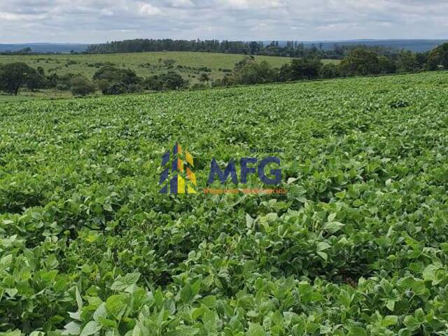 Fazenda para Venda em Paulistânia - 4