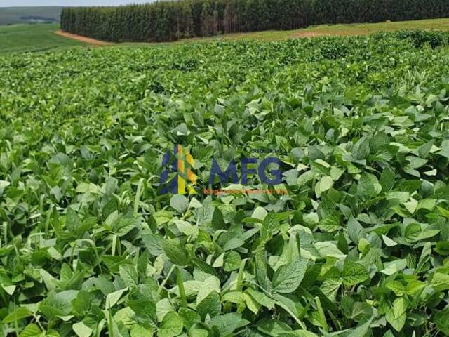 Fazenda para Venda em Paulistânia - 5