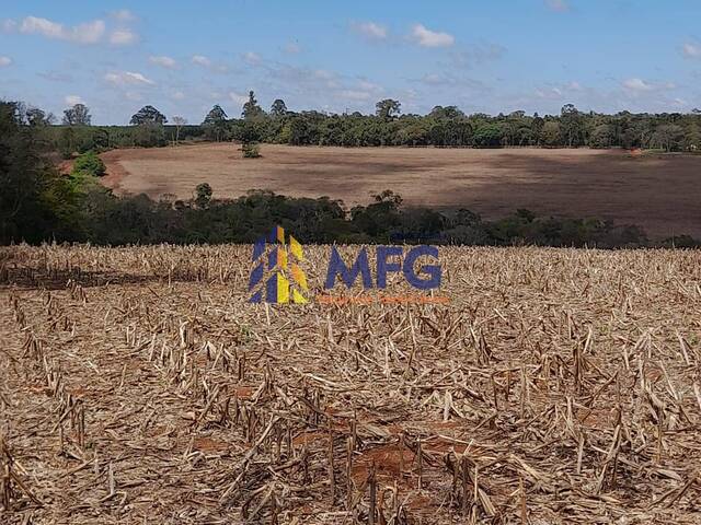 Fazenda para Venda em Itapetininga - 2