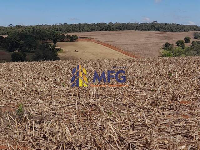 Fazenda para Venda em Itapetininga - 3