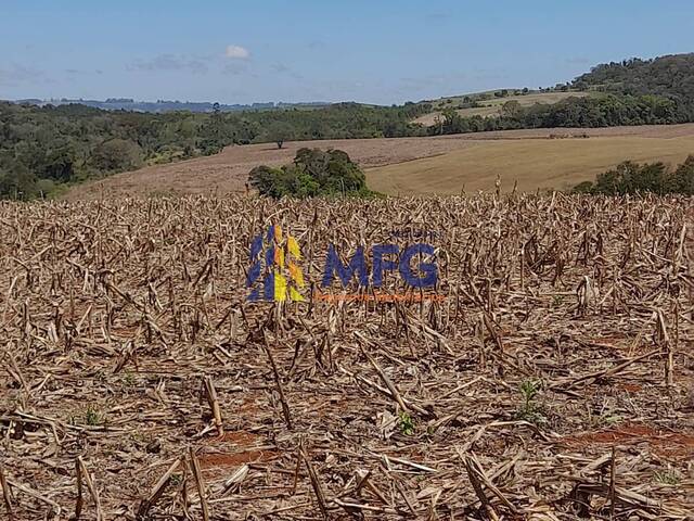 Fazenda para Venda em Itapetininga - 4