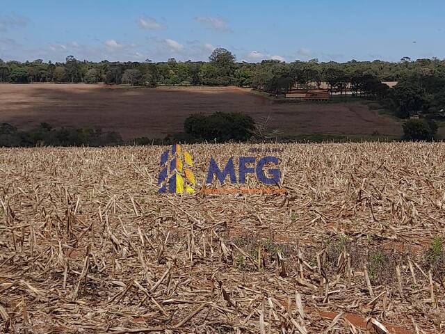 Fazenda para Venda em Itapetininga - 5