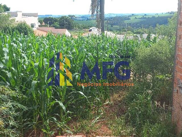 Terreno para Venda em Barão de Antonina - 2