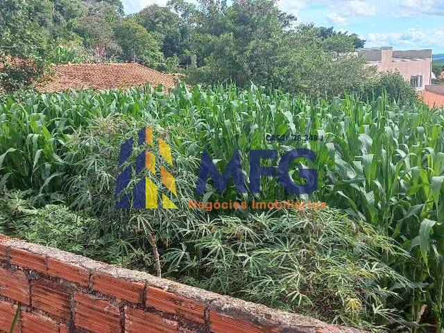 Terreno para Venda em Barão de Antonina - 3