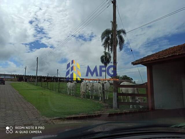#8183 - Fazenda para Venda em Capão Bonito - SP - 1