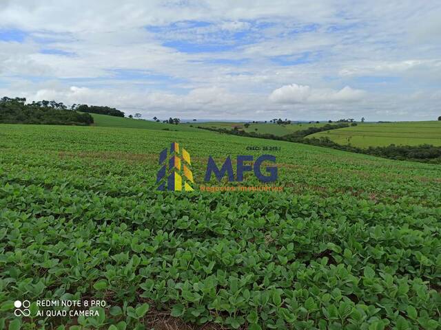 Fazenda para Venda em Capão Bonito - 4