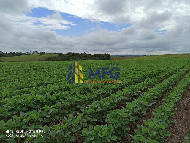 #8183 - Fazenda para Venda em Capão Bonito - SP - 3