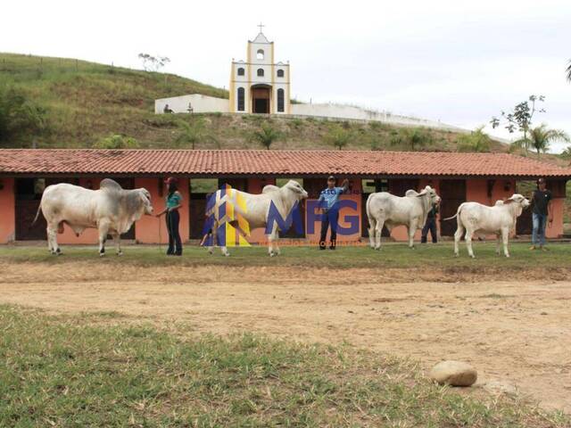 Fazenda para Venda em Guaratinguetá - 3