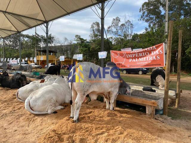 Fazenda para Venda em Guaratinguetá - 5