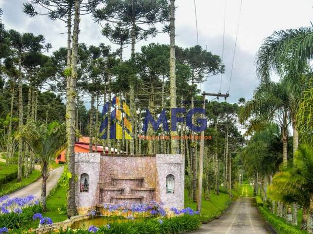 Sítio para Venda em Embu-Guaçu - 5