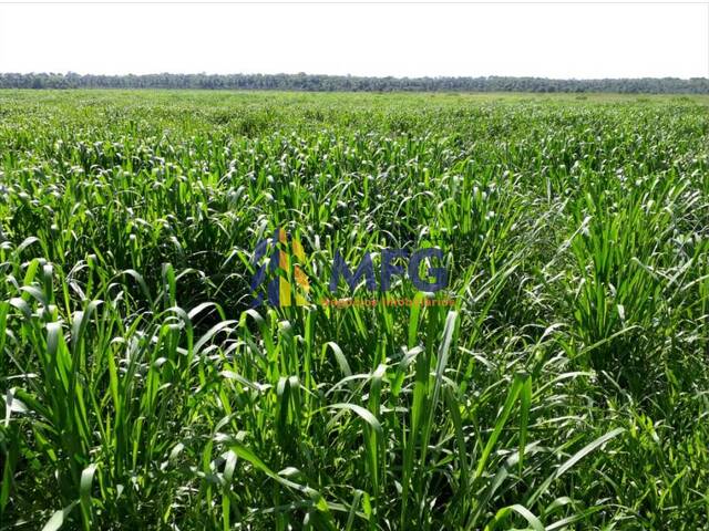 Fazenda para Venda em Bonfinópolis de Minas - 2